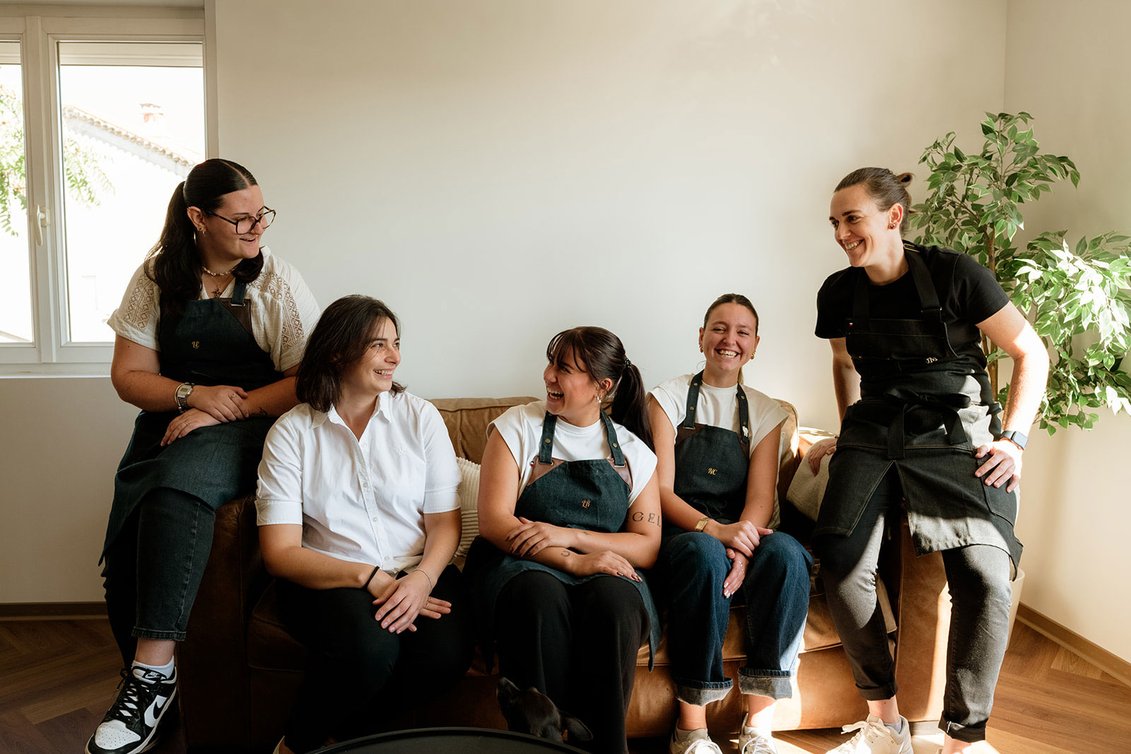 prothesiste-dentaire-goupe prothésiste dentaire Occitanie | France